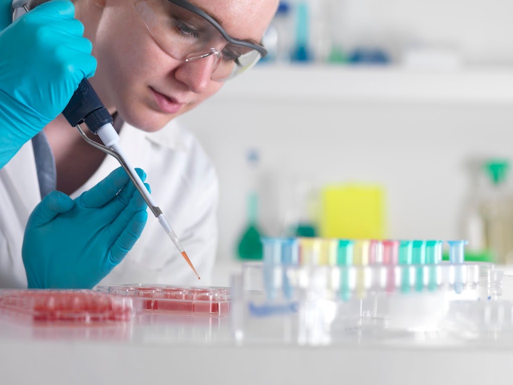 ¿cómo Y Por Qué Los Científicos Cultivan Las Células Madre En El Laboratorio Medicina Ortoemk 5877