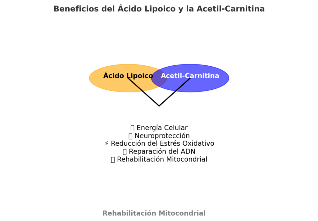 Esta imagen tiene un atributo ALT vacío; su nombre de archivo es output-63-1024x710.png