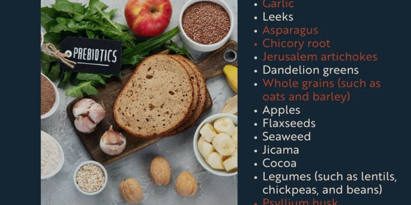 Rasmussen HE, Hamaker BR. Prebiotics and Inflammatory Bowel Disease. Gastroenterol Clin North Am. 2017 Dec;46(4):783-795. doi: 10.1016/j.gtc.2017.08.004. Epub 2017 Oct 4. PMID: 29173521.